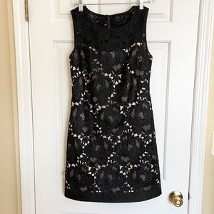 White House Black Market Sleeveless Lace Appliqué